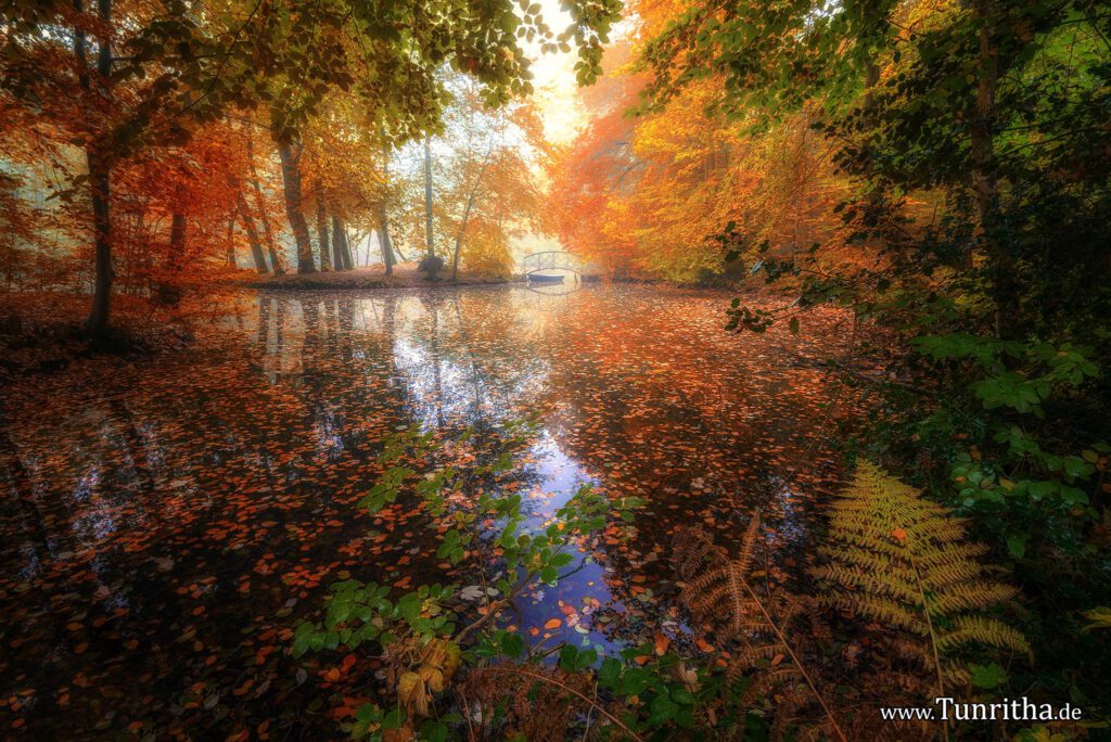 Herbst in Norddeutschland